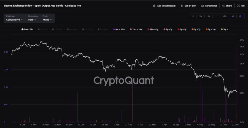 Джерело: CryptoQuant