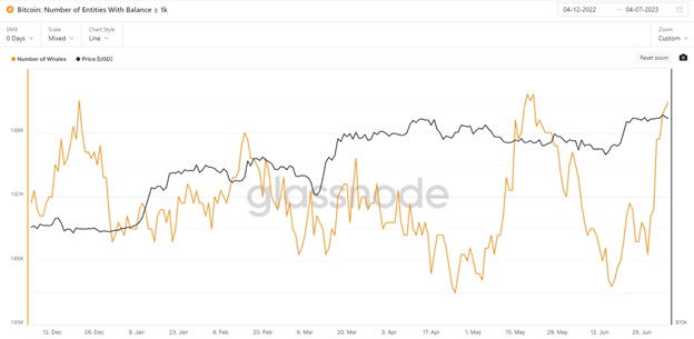 Зміна кількості Bitcoin-китів з об'ємом більше 1 000 BTC. Джерело: Glassnode.
