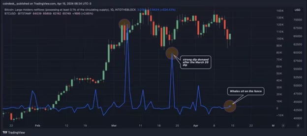 Біткойн: великі гаманці netinflow проти ціни. Джерело:IntoTheBlock/TradingView.